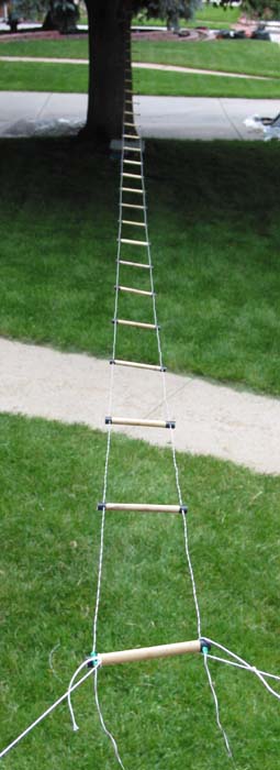 ladder.jpg